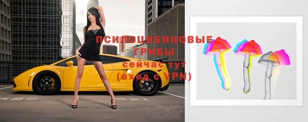 apvp Рославль